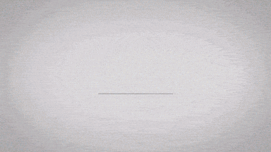 Animated GIF-downsized-2